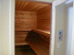 saunas in finished basements 